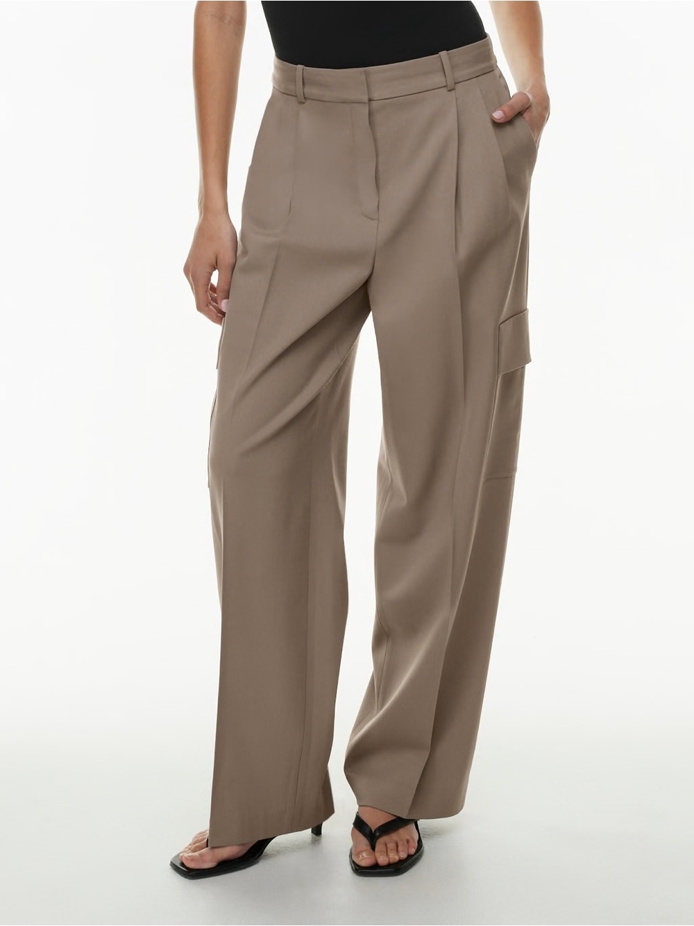 Aritzia Wilfred Spotlight Cargo Pants